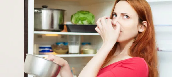 så får du bort dålig lukt från kylskåpet